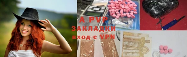 индика Балабаново