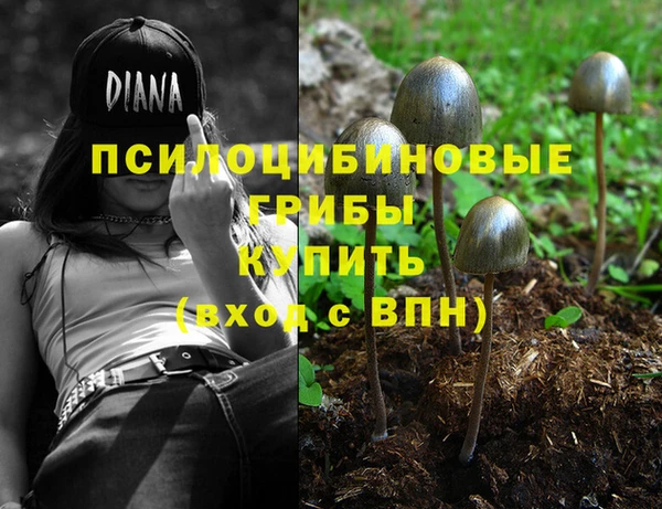 дмт Беломорск