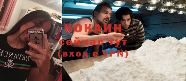 индика Балабаново