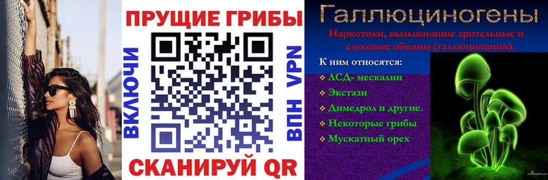 Галлюциногенные грибы Psilocybe  Шагонар 