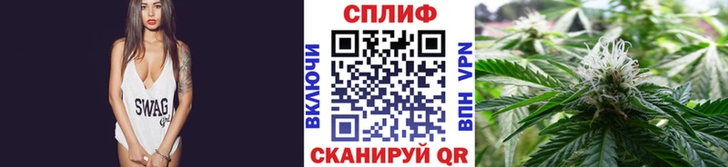 Шишки марихуана план shop клад Шагонар